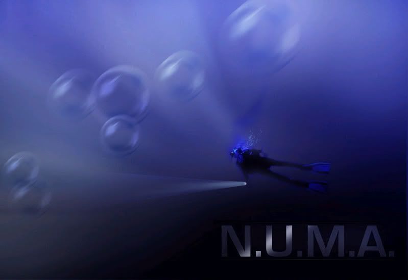 Numa Ships