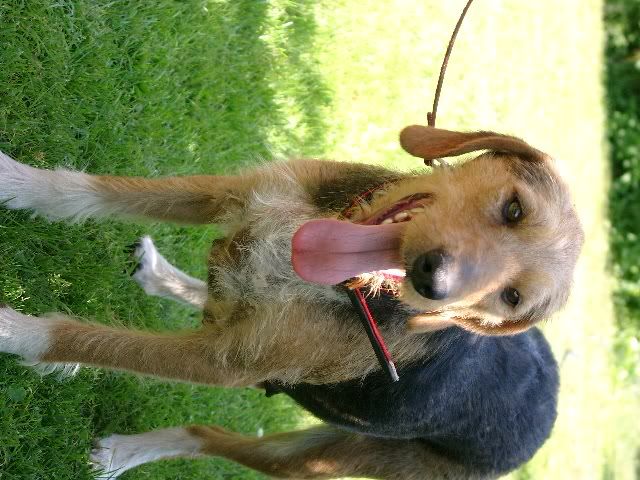 Bild