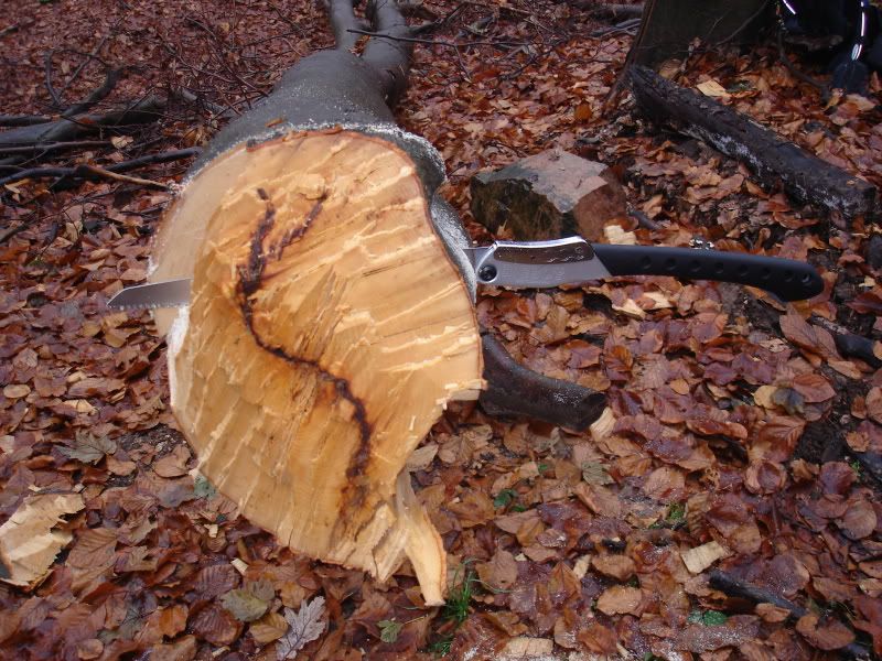 16-12-2005005.jpg