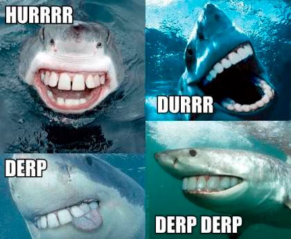 Durr Shark