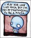 Me is a ninja