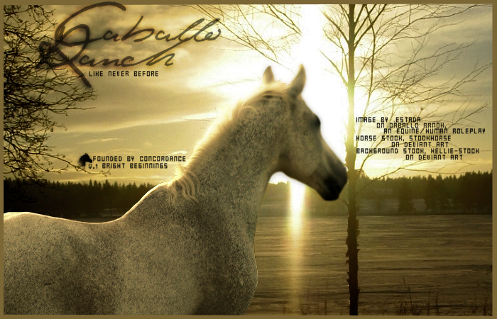 Welcome Guest. Please Login or ...