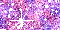 mixth_58.gif