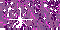 purple-006.gif