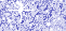 silverth_22.gif