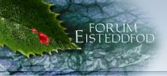Forum Eisteddfod Strona Gwna