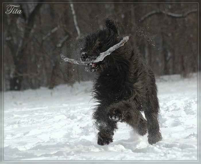 comp_DSC_4236k.jpg