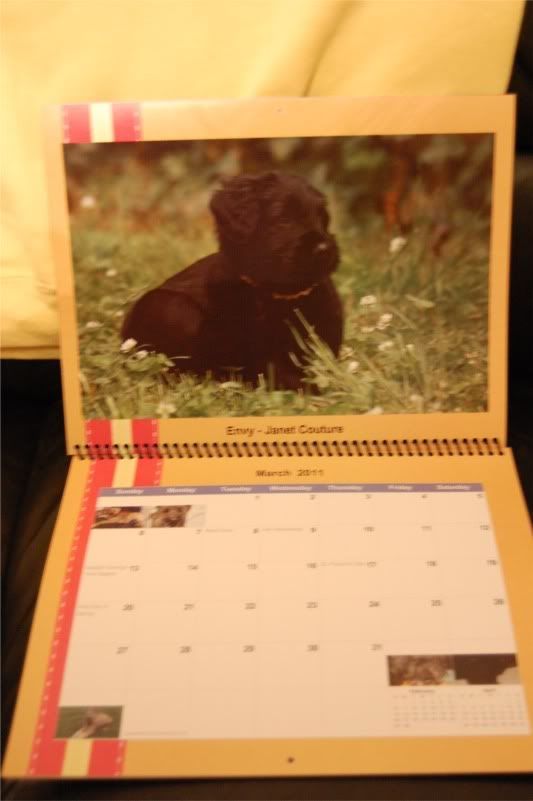 calendar_envy.jpg