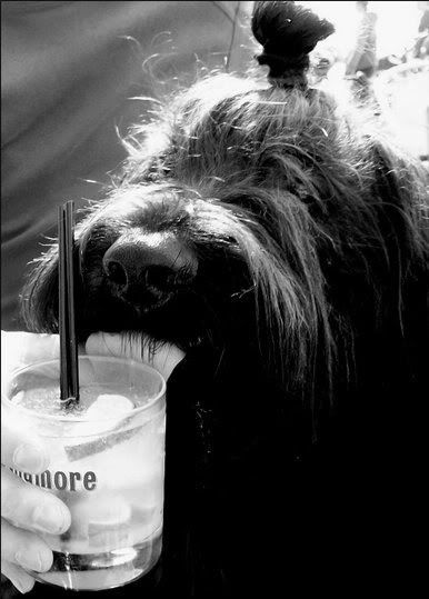 mojito.jpg