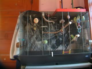 DSCF0540.jpg