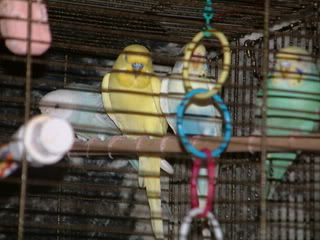 DSCF0541.jpg