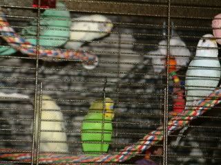 DSCF0545.jpg