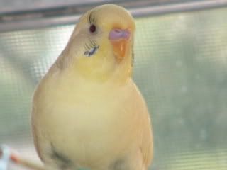 DSCF0388.jpg
