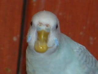 DSCF0392.jpg