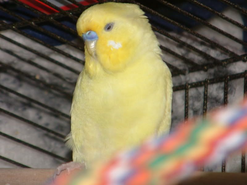 DSCF0572.jpg