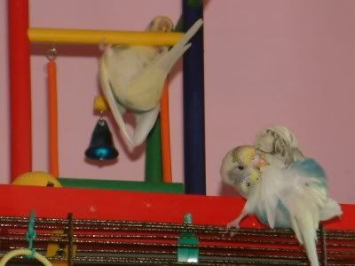 DSCF0613400x300.jpg