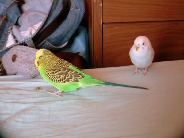 DSCF0123600x450.jpg