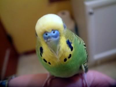DSCF0260400x300.jpg