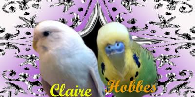 clairandhobbessig.jpg