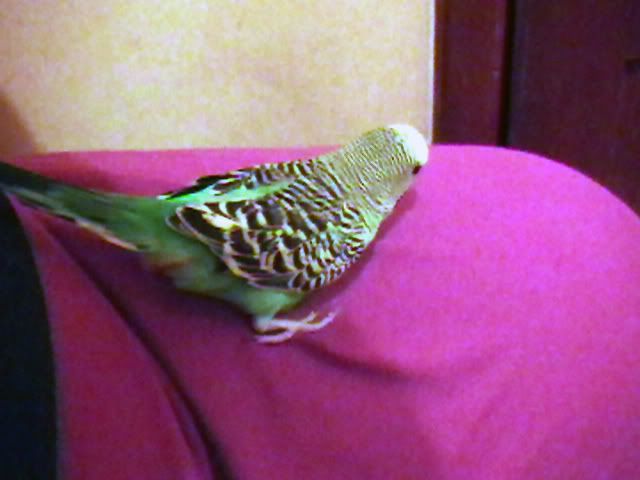 IMGA0731.jpg