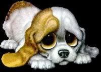 hound.jpg