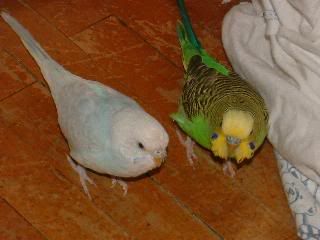 DSCF0255.jpg
