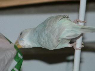 DSCF0258.jpg