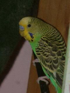 DSCF0264.jpg