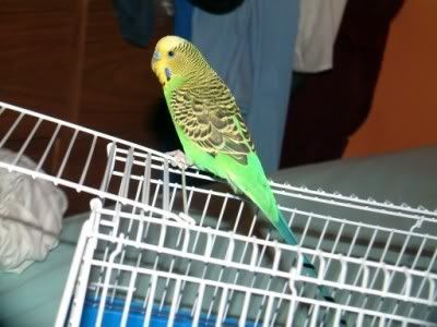 DSCF0312400x300.jpg