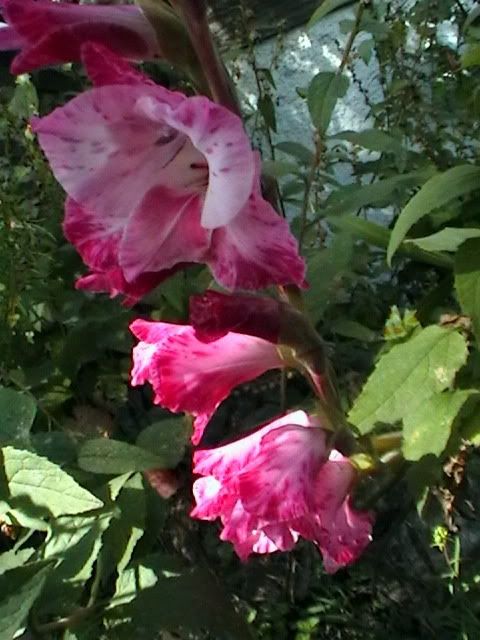 20080918_135726.jpg