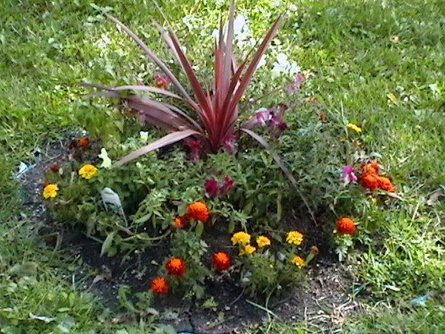 20080918_135842.jpg
