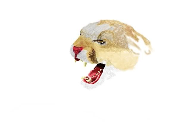 cougar1.jpg