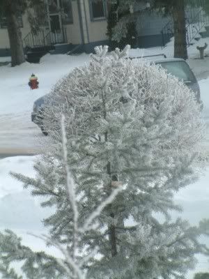 DSCF0117.jpg