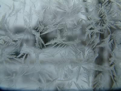 DSCF0122.jpg