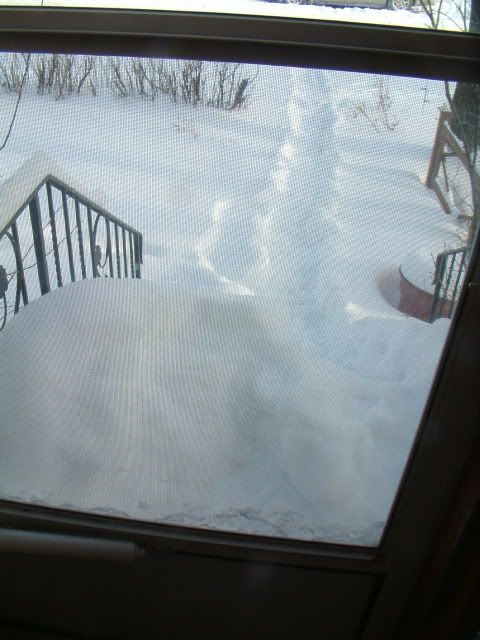 DSCF1229.jpg