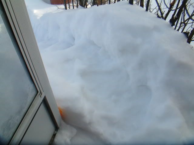 DSCF1233.jpg