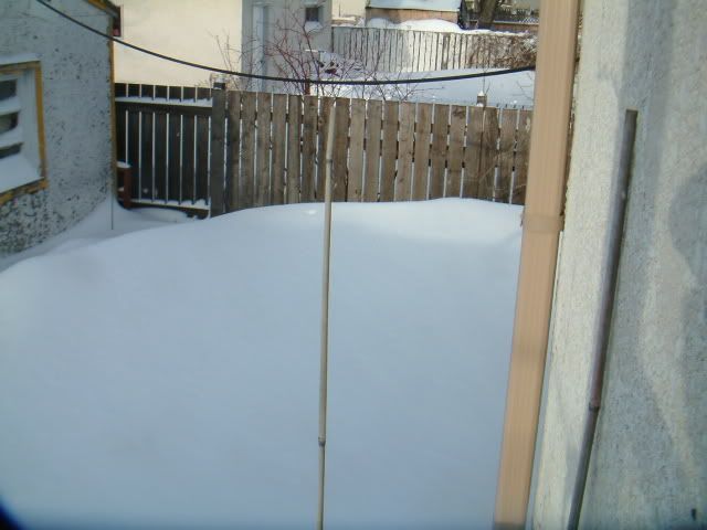 DSCF1237.jpg