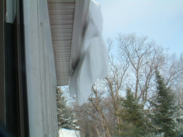 DSCF1240.jpg