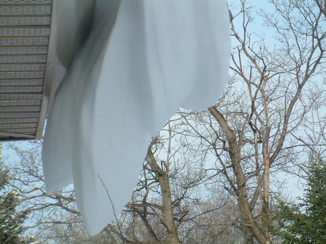 DSCF1241.jpg