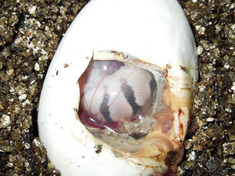 test008.jpg