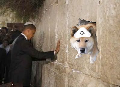 DogWallBama.jpg