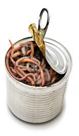 can-of-worms-1.jpg