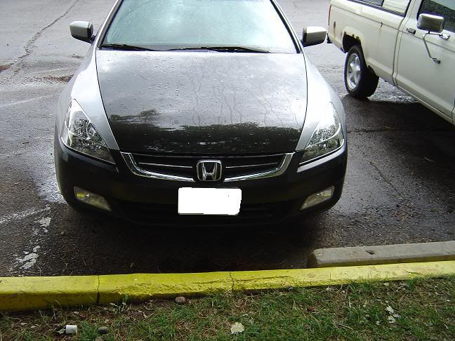 2006 Honda accord inspire grill #6