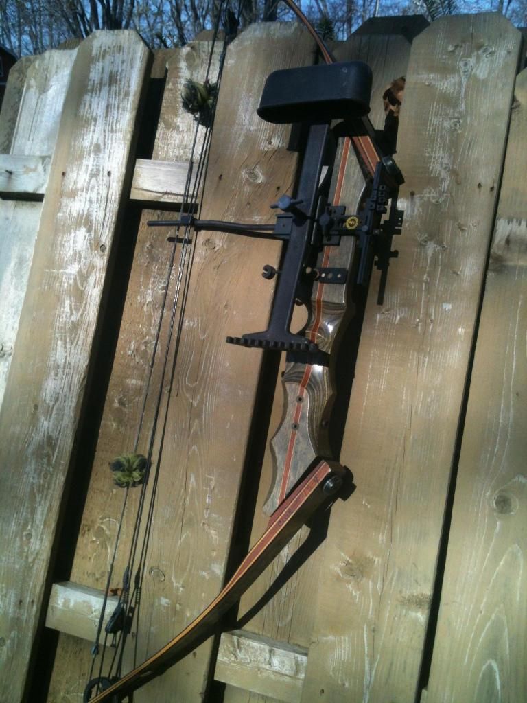 WTS/WTT Vintage Martin Warthog Compound Bow Indiana Gun Owners