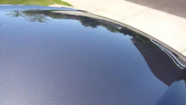 DSC01652.jpg