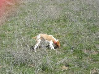 005-2-1.jpg