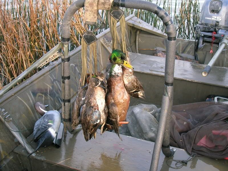 Home made grab bars? Page 2 Refuge Forums