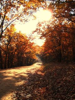 GladeTopTrail28.jpg