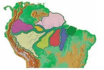 Florestasdaamazonia.jpg