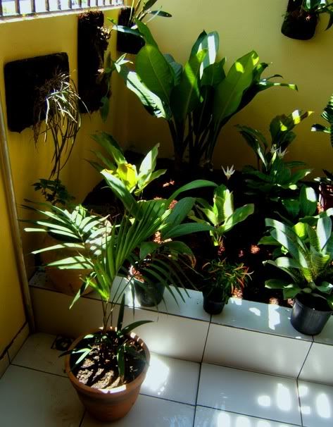 Garden1.jpg